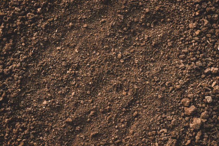 top soil Lawn Rolling